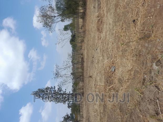 Green Park - thumbnail 5