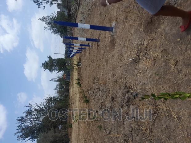 Green Park - thumbnail 6