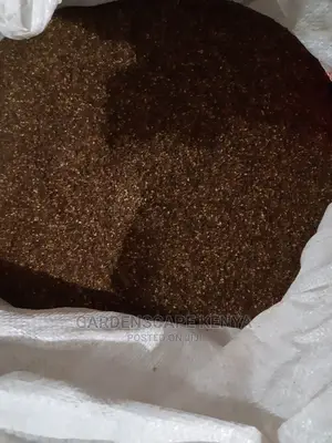 Black Sesame Seeds Per Ton