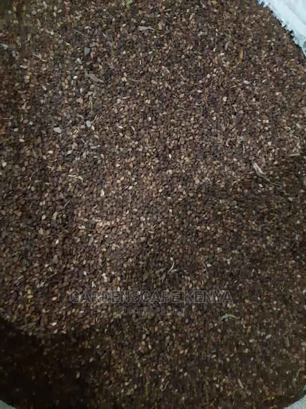 Black Sesame Seeds Per Ton - thumbnail 2