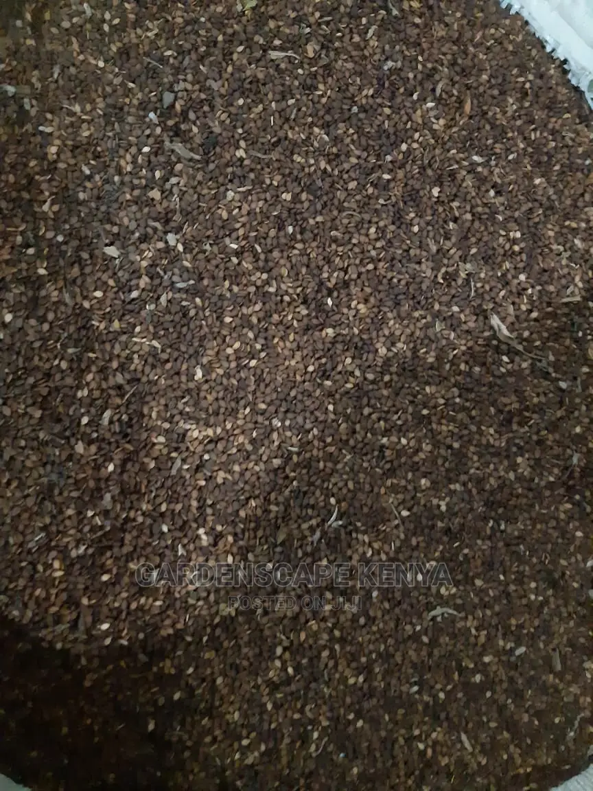 Black Sesame Seeds Per Ton