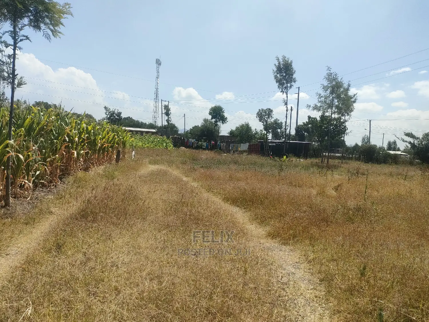 Chaka/Karundas 50/100 Plots