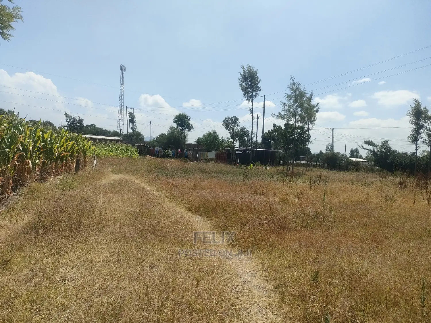 Chaka/Karundas 50/100 Plots