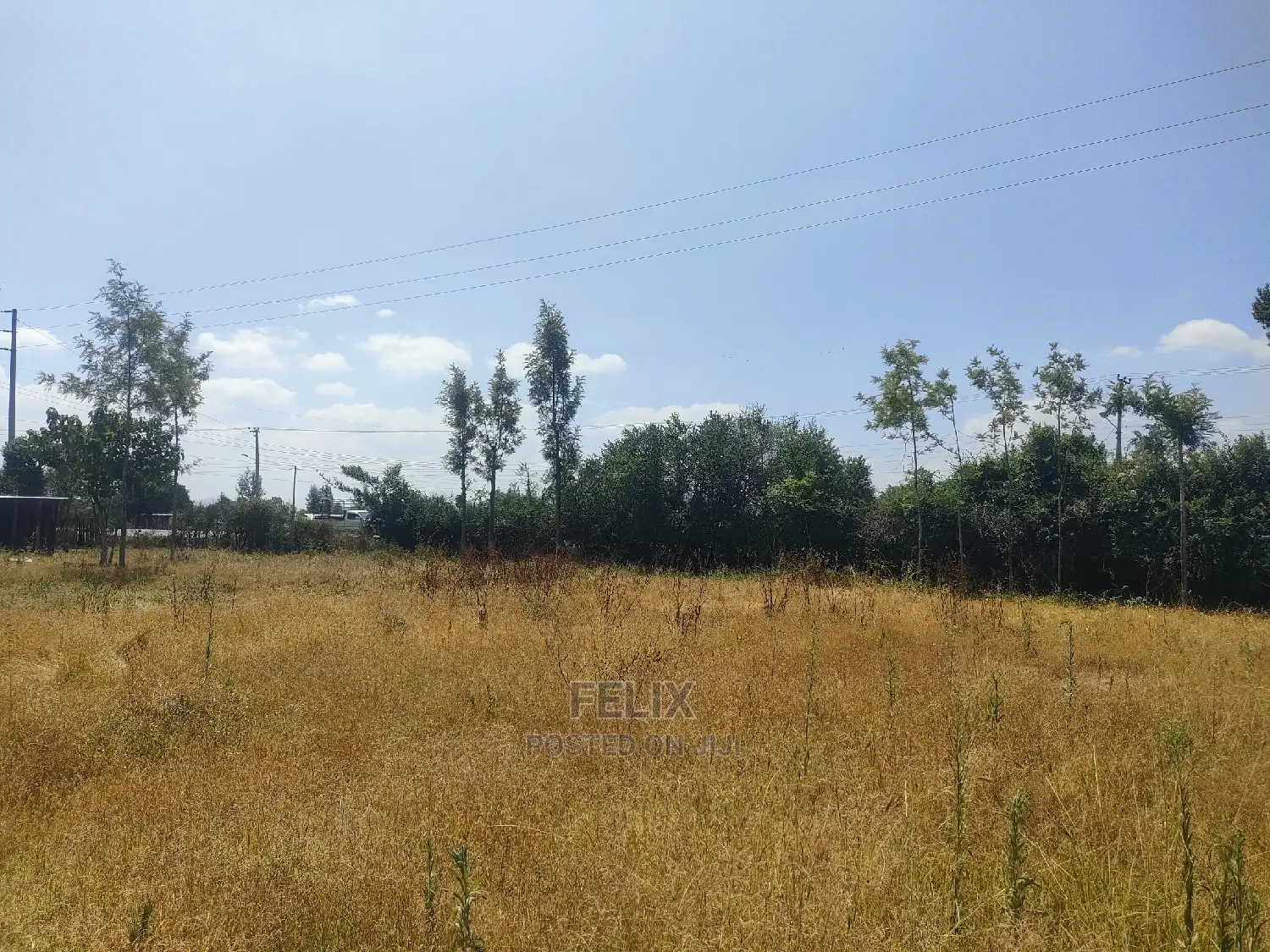 Chaka/Karundas 50/100 Plots