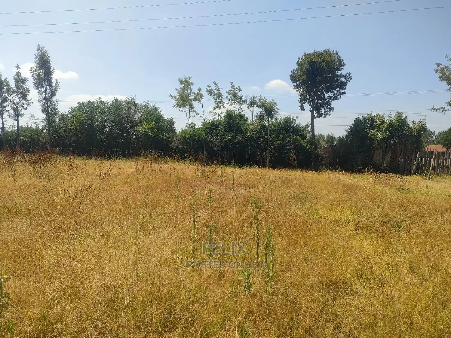Chaka/Karundas 50/100 Plots