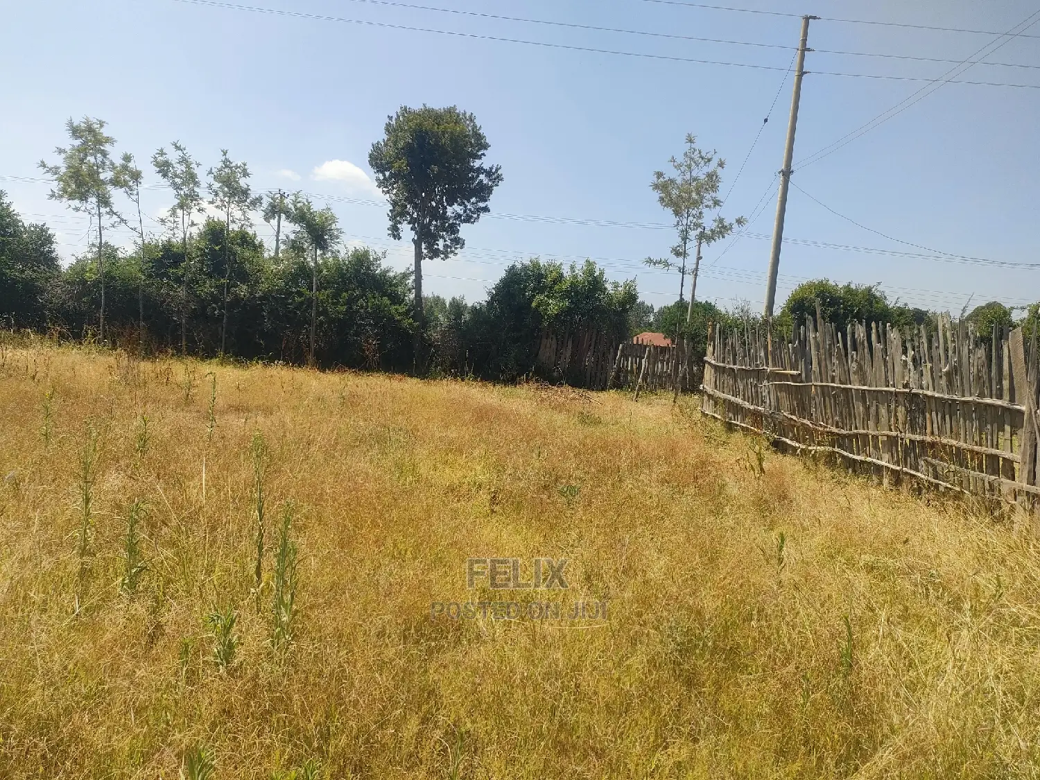 Chaka/Karundas 50/100 Plots