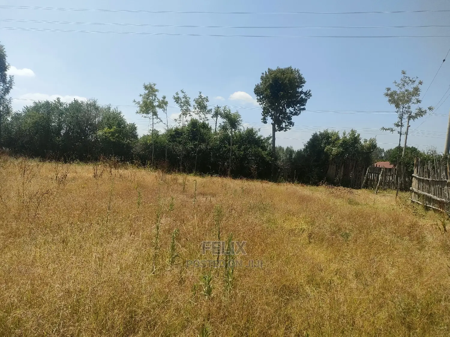 Chaka/Karundas 50/100 Plots
