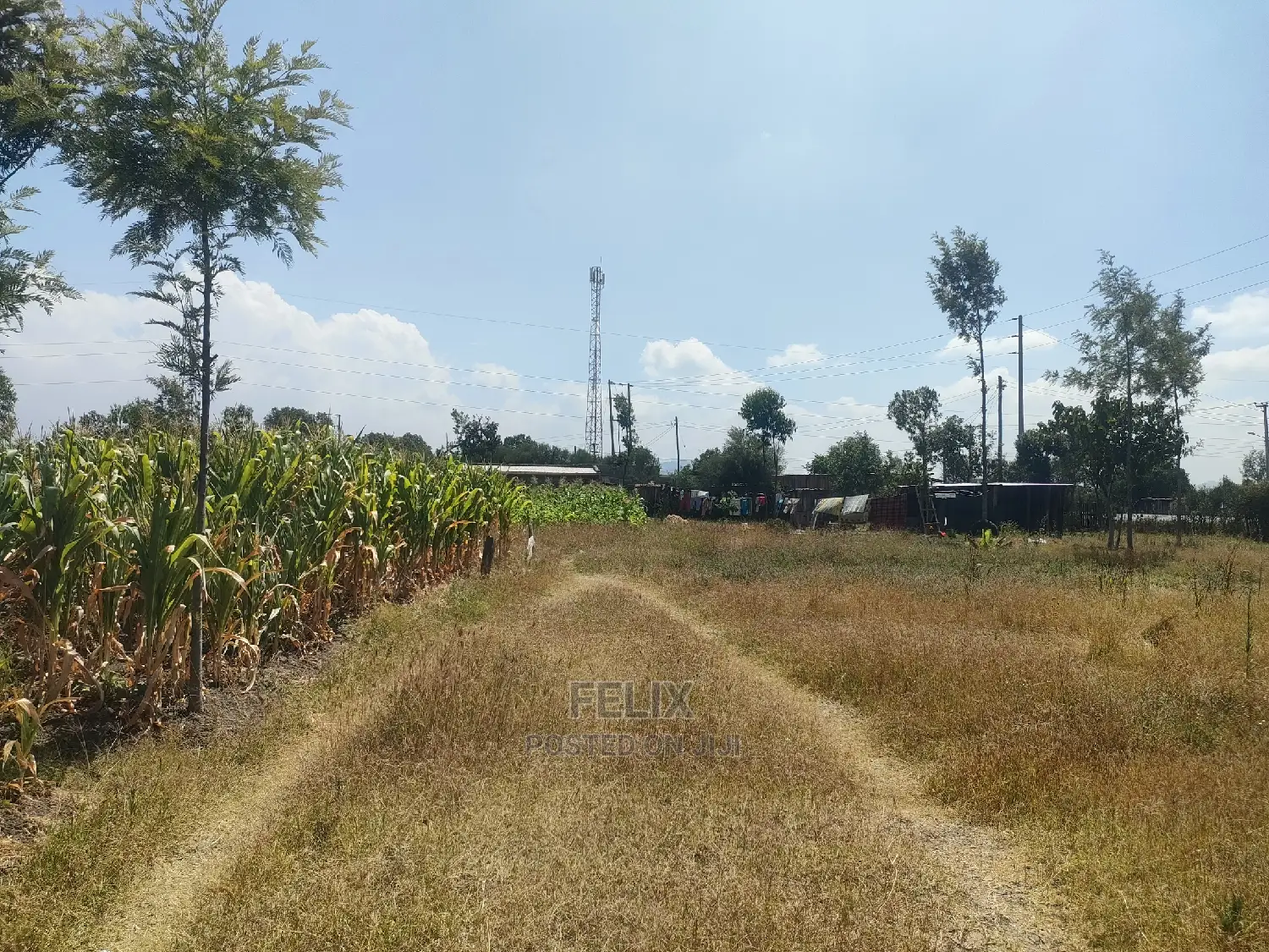 Chaka/Karundas 50/100 Plots