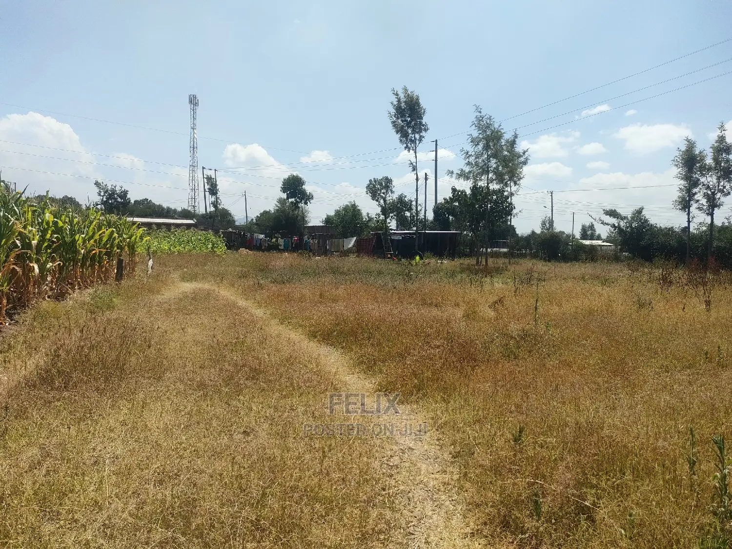 Chaka/Karundas 50/100 Plots