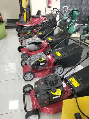 Briggs And Stratton Lawn Mower In Kenya