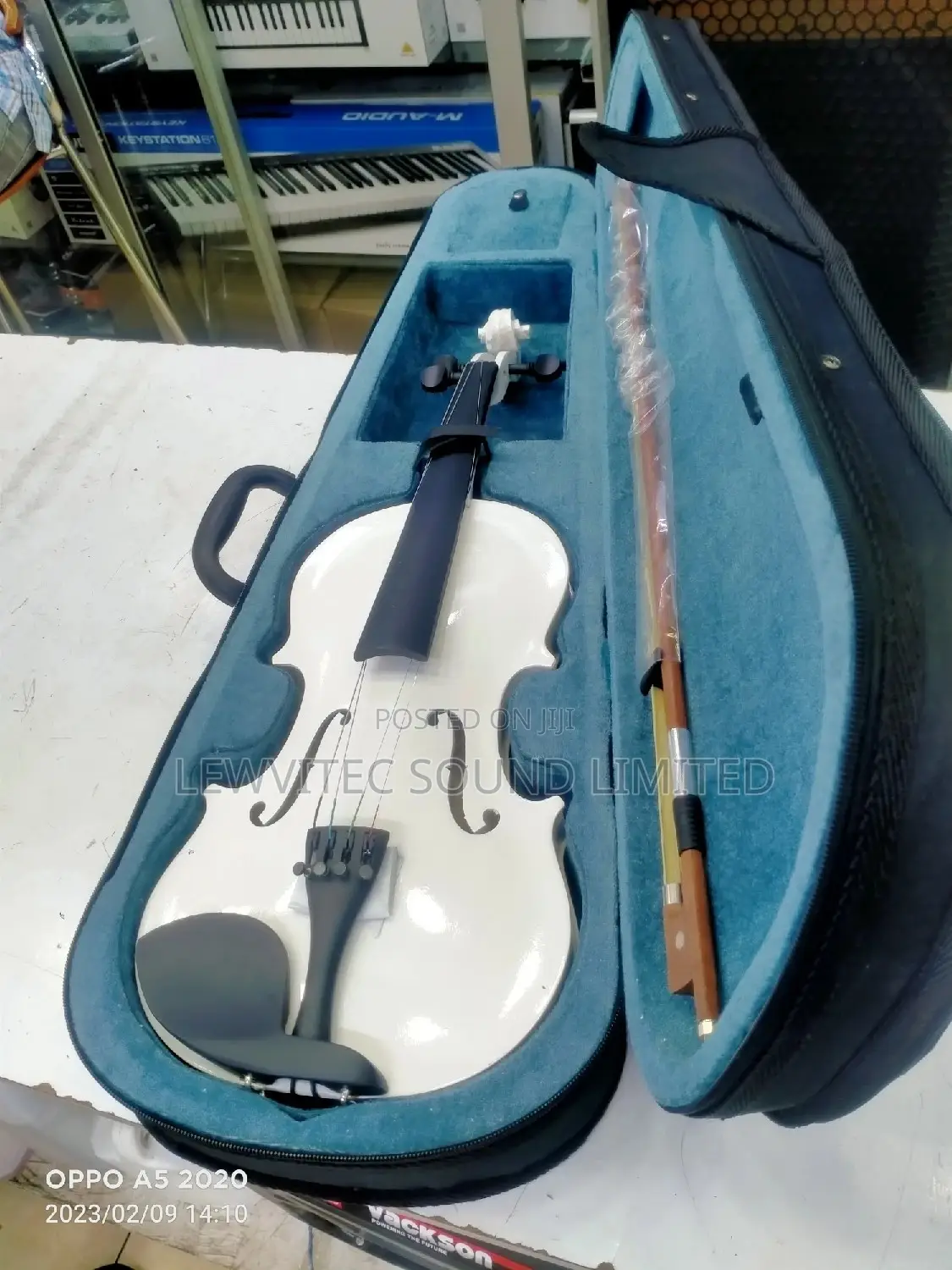 White Full Size Violin