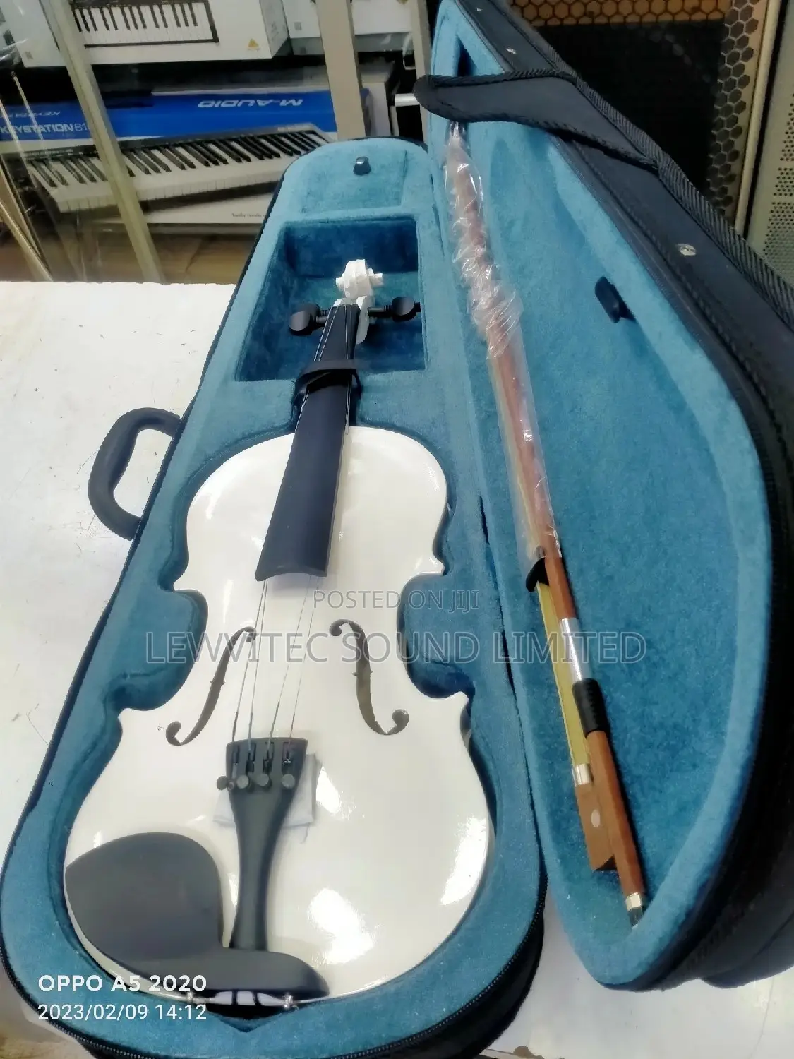 White Full Size Violin