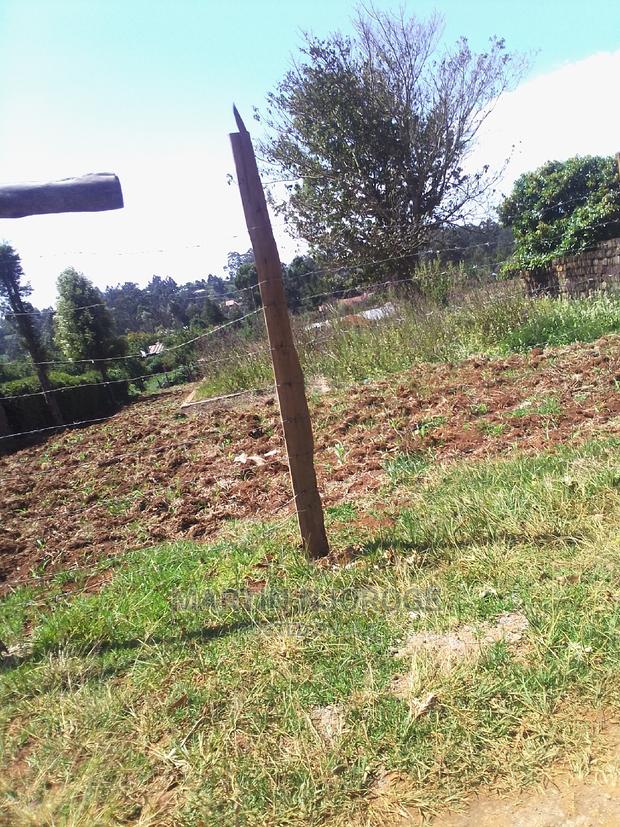 50 by 100 Mwendandu - main view