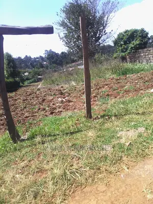50 by 100 Mwendandu