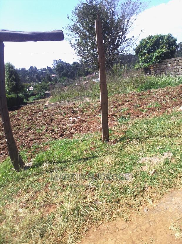 50 by 100 Mwendandu - thumbnail 3