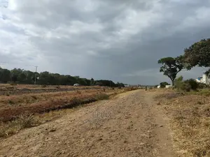 Chaka/Maisha 3/4 Acre