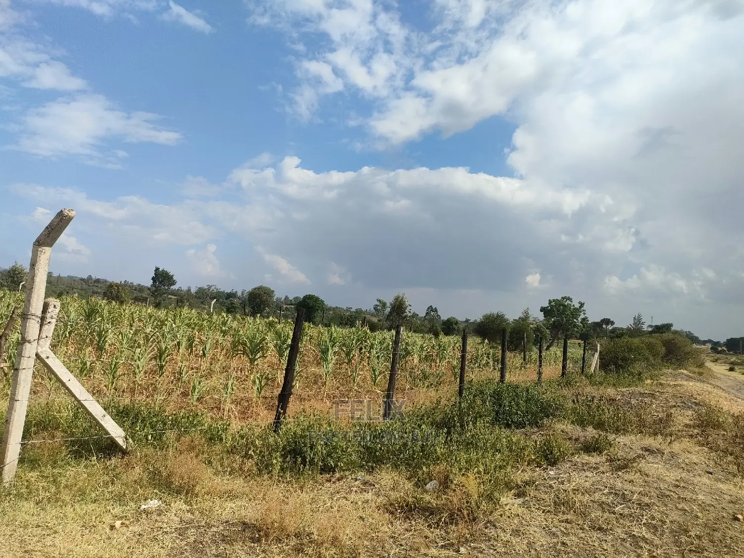 Chaka/Maisha 3/4 Acre