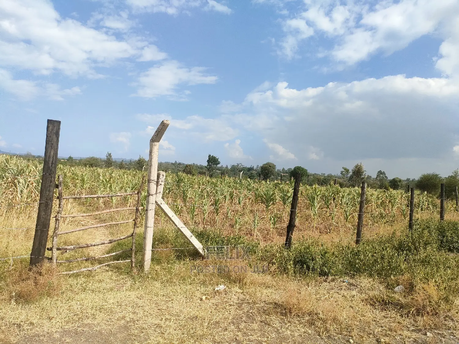 Chaka/Maisha 3/4 Acre