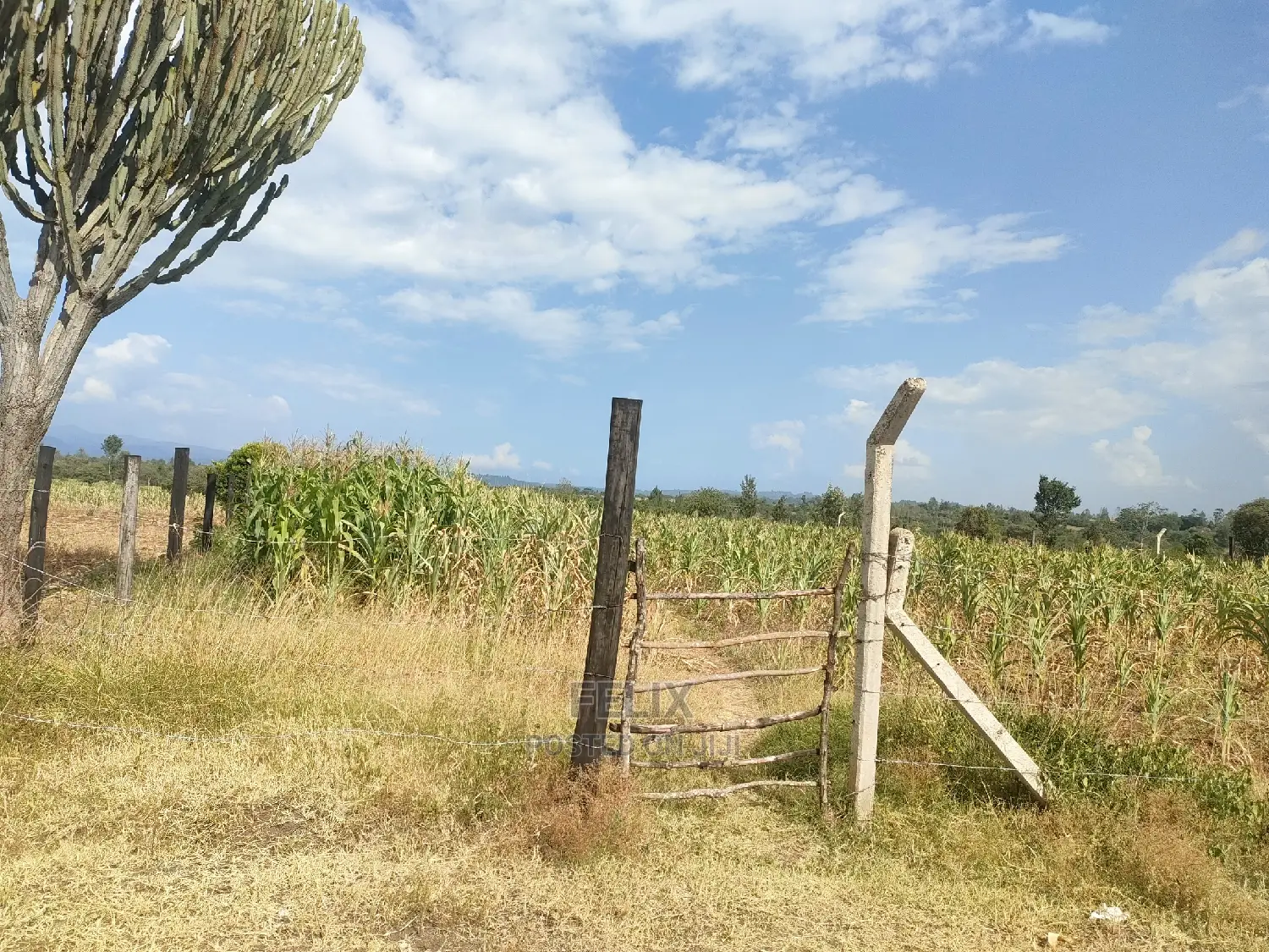 Chaka/Maisha 3/4 Acre