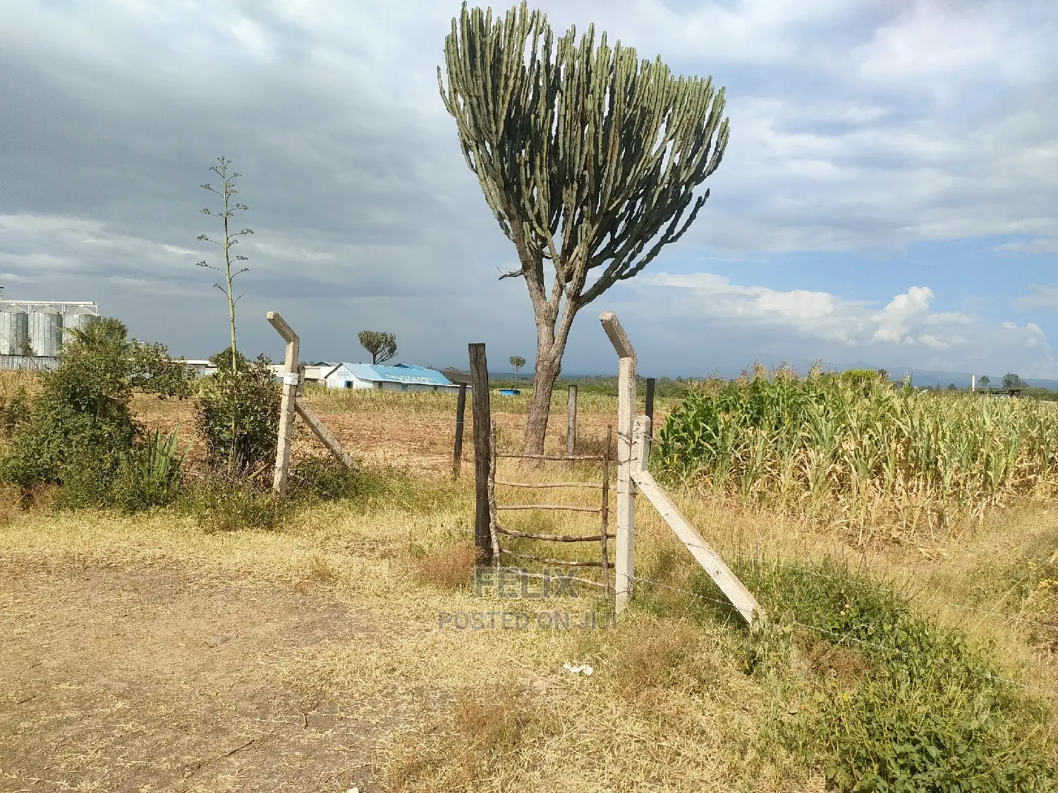 Chaka/Maisha 3/4 Acre