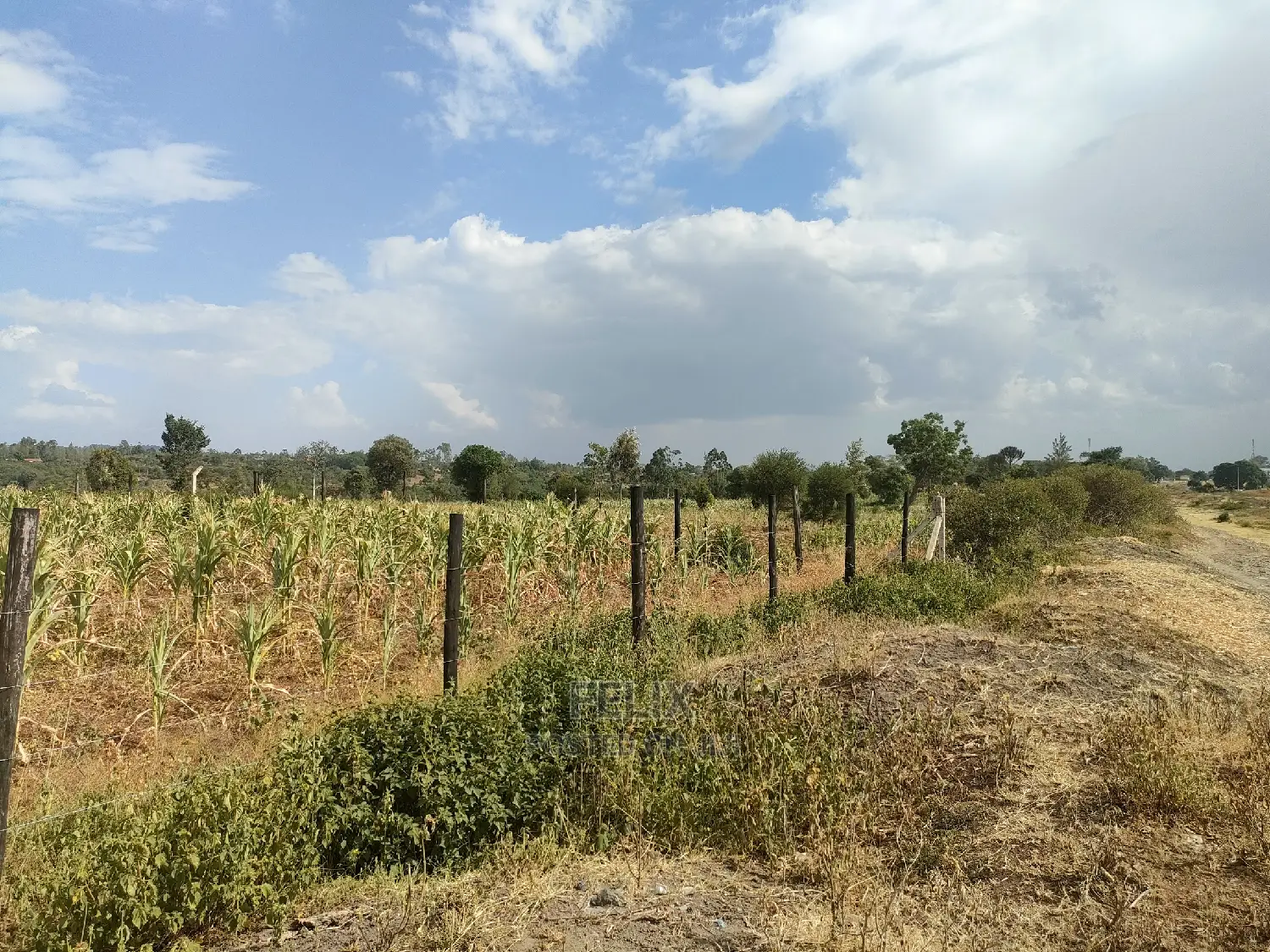 Chaka/Maisha 3/4 Acre