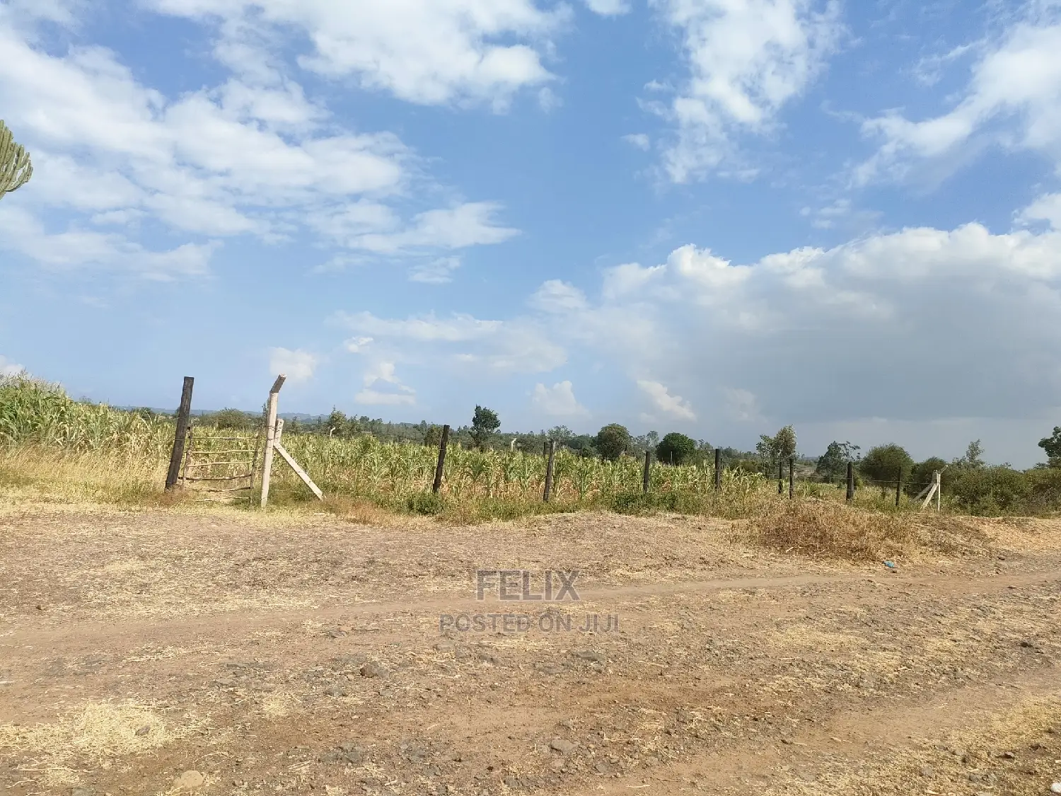 Chaka/Maisha 3/4 Acre