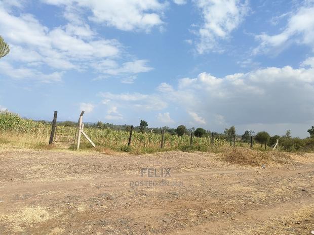 Chaka/Maisha 3/4 Acre - thumbnail 17