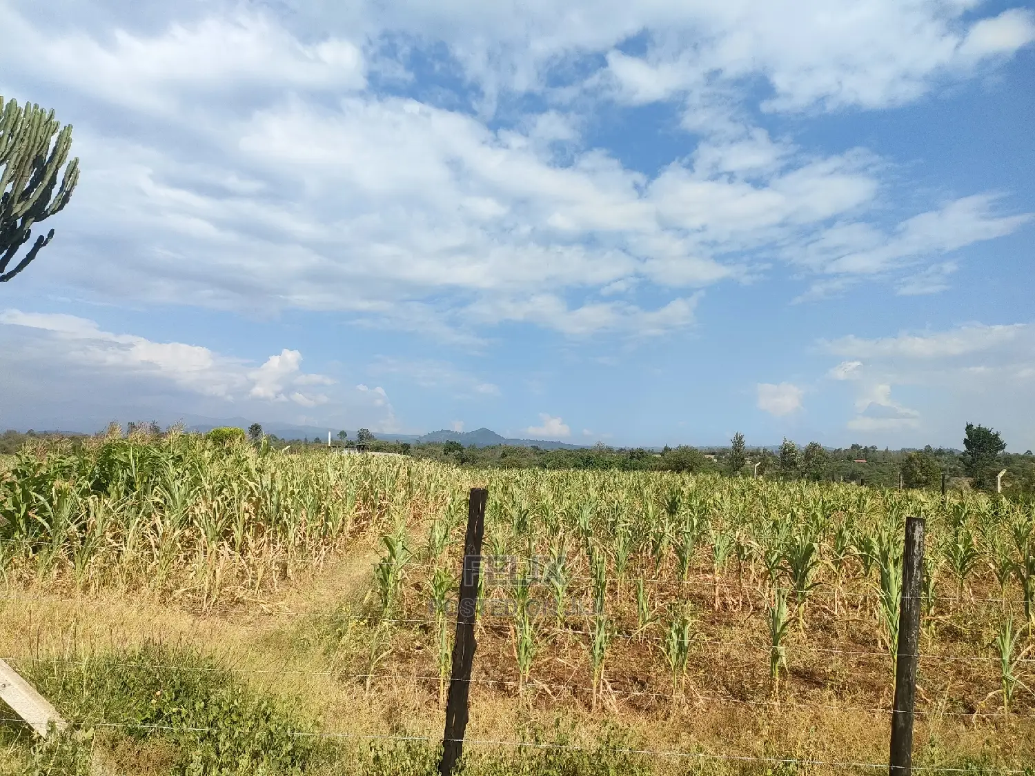 Chaka/Maisha 3/4 Acre