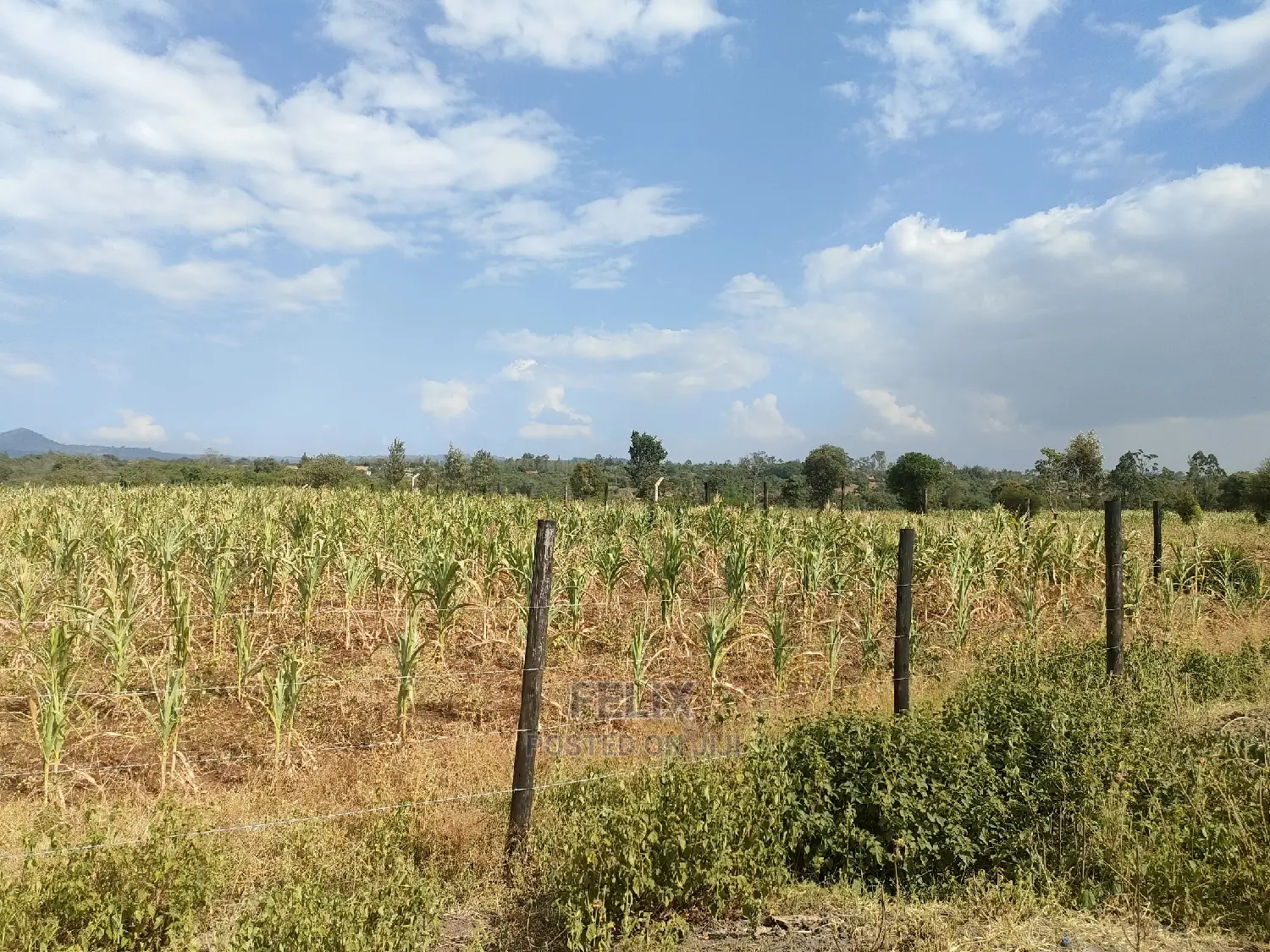 Chaka/Maisha 3/4 Acre