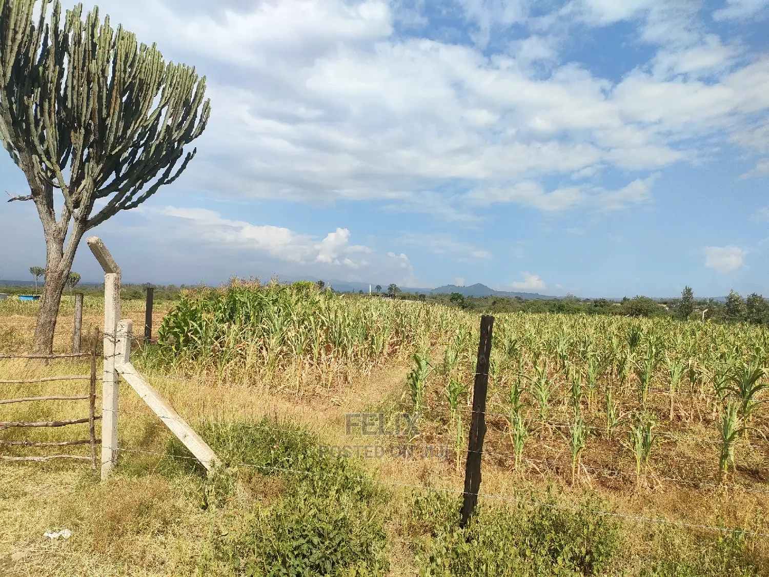 Chaka/Maisha 3/4 Acre