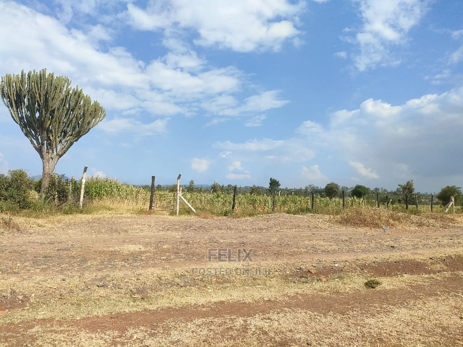 Chaka/Maisha 3/4 Acre