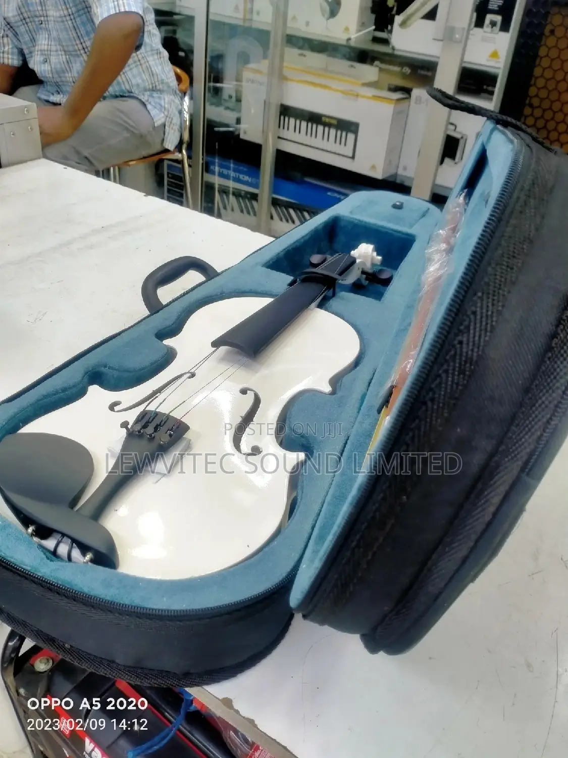 White Violin/Blue Case