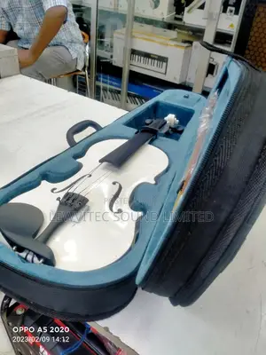 White Violin/Blue Case