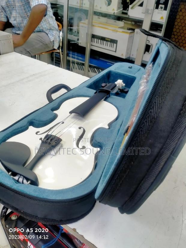 White Violin/Blue Case
