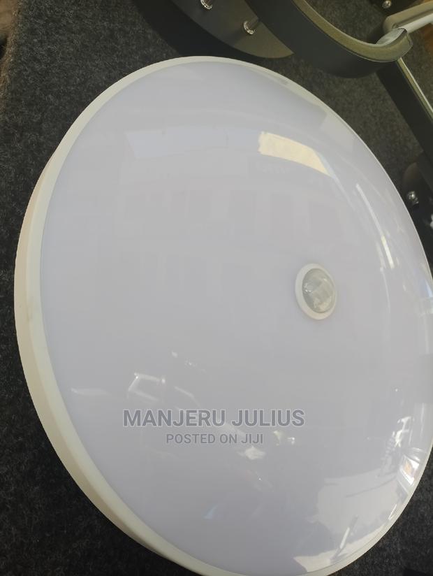 Motion Sensor Ceiling Light