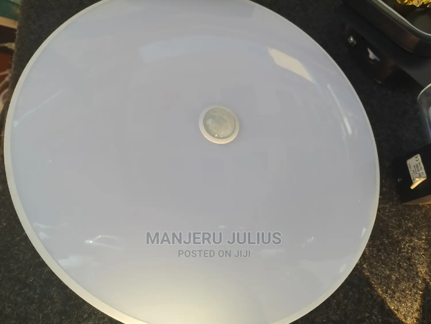 Motion Sensor Ceiling Light