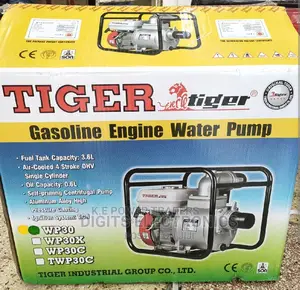 High Pressure Casting 2 Inch Water Pump