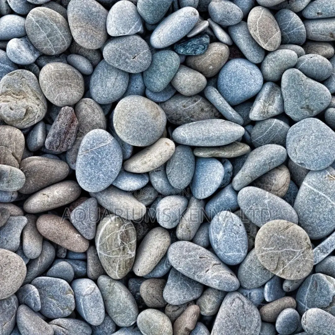 Black Pebbles, Aquarium Accessories