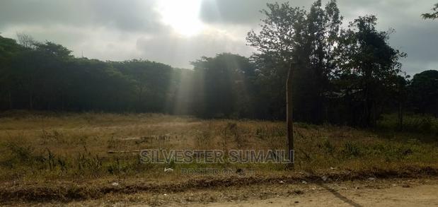 A Plot on Sale, 100*600