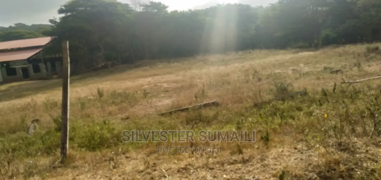 A Plot on Sale, 100*600