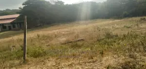 A Plot on Sale, 100*600