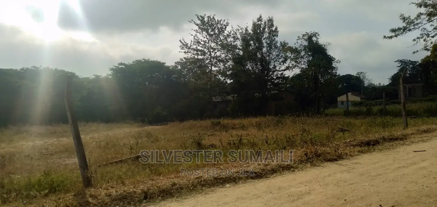 A Plot on Sale, 100*600