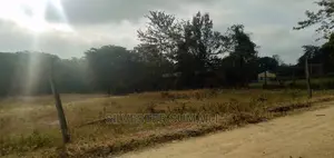 A Plot on Sale, 100*600