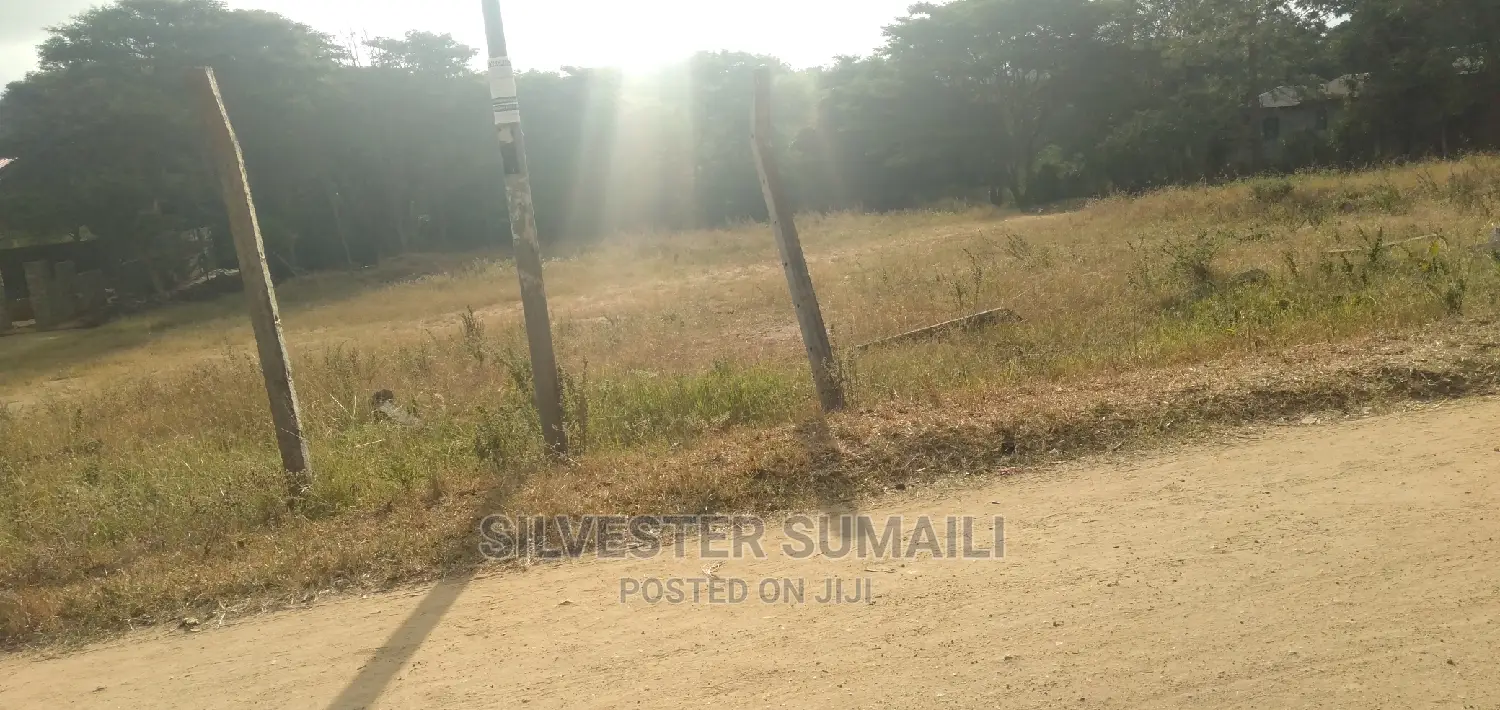 A Plot on Sale, 100*600