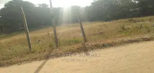 A Plot on Sale, 100*600