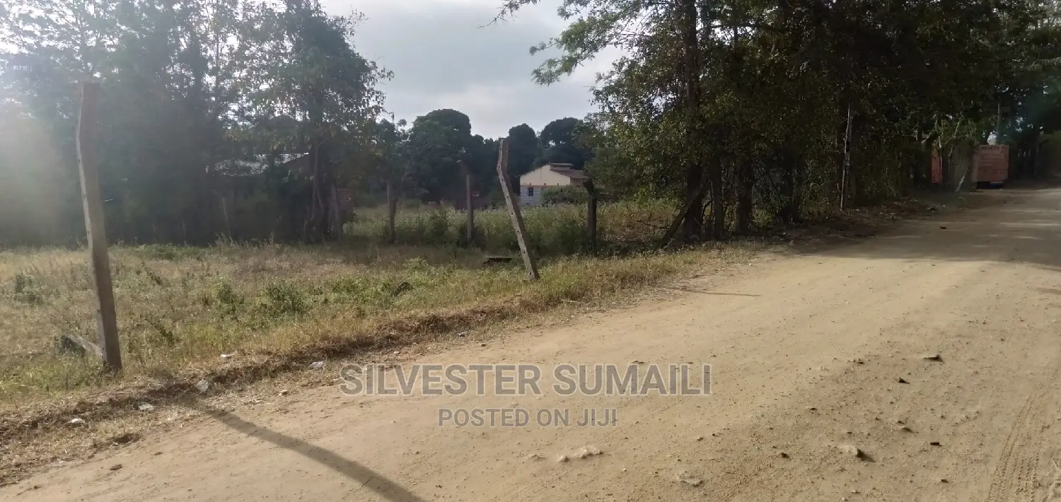 A Plot on Sale, 100*600