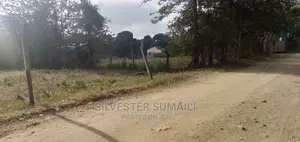 A Plot on Sale, 100*600