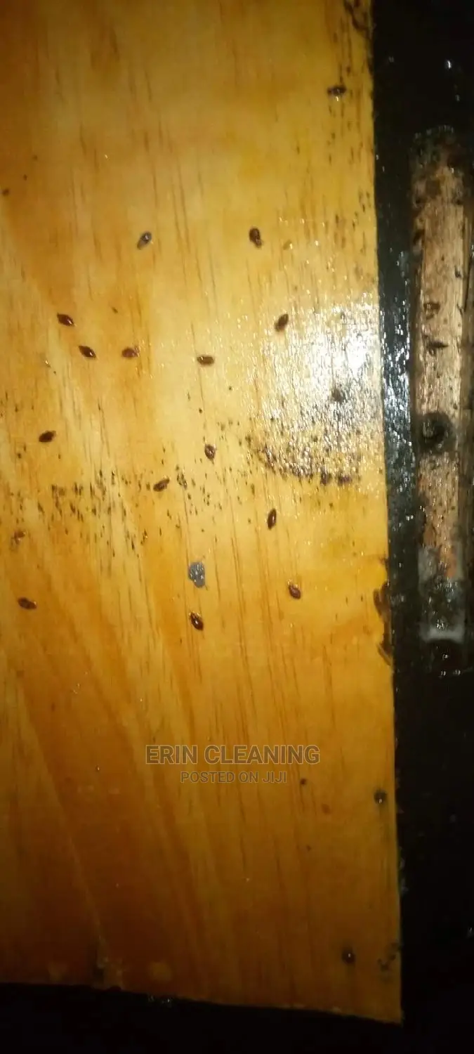 Bedbugs and Cockroach Services