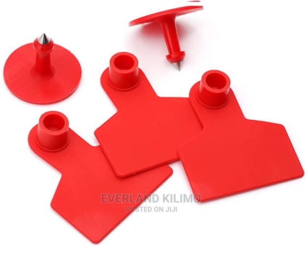 Small Goat/Pig Ear Tags- Plain - main view