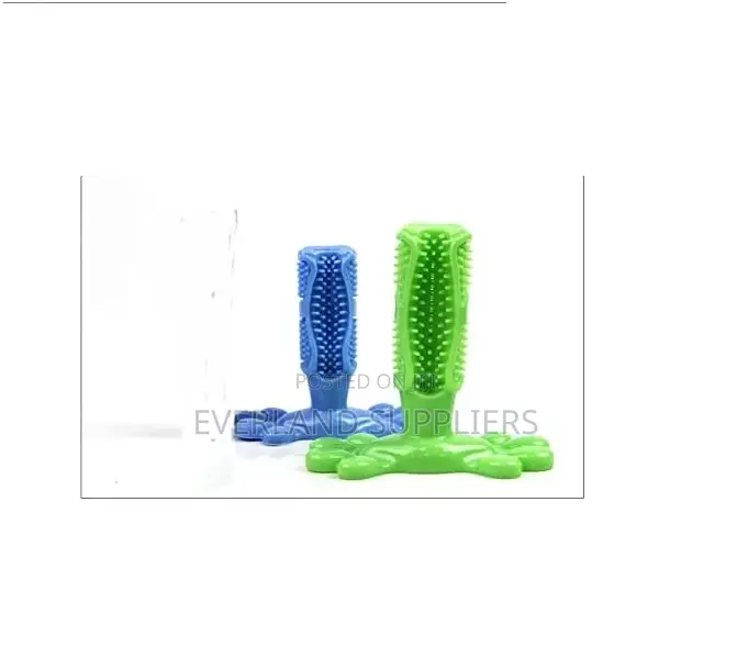 Pet Toy Bone Toothbrush